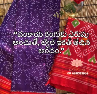 Pochampally Ikat detail 3